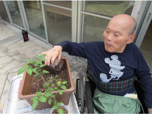 思い出してごらん
５月に植え付けたこと