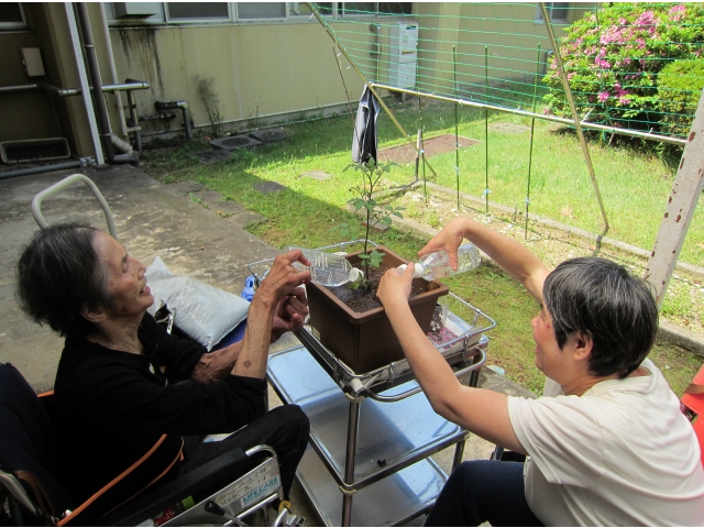 水やりも頑張りました