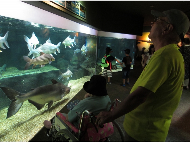 目を奪われます