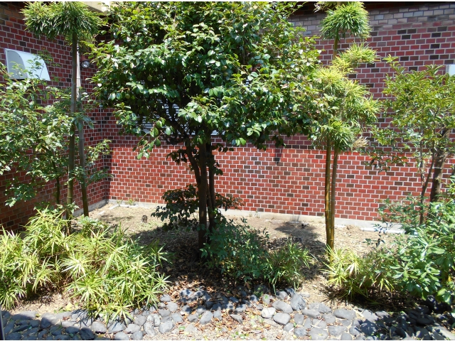 アフター！！
すごくきれいになりました