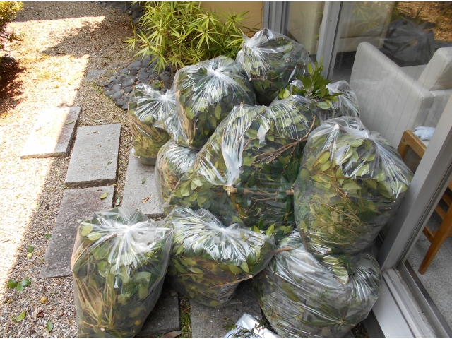 たくさん袋が並びました。