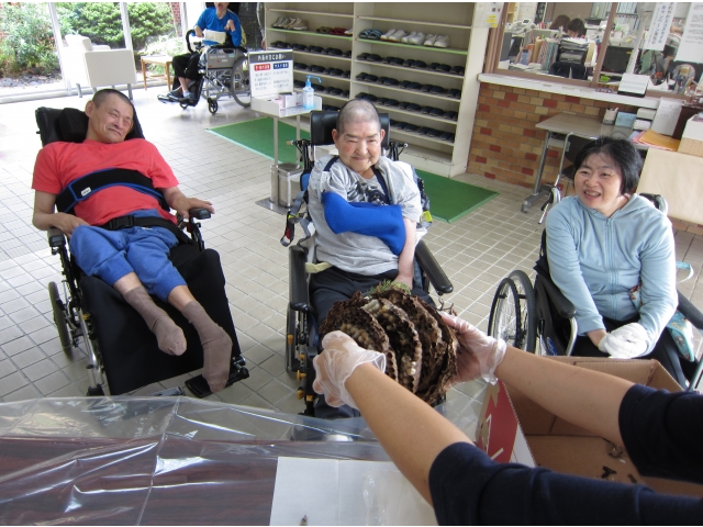 ４層にもなる巣盤