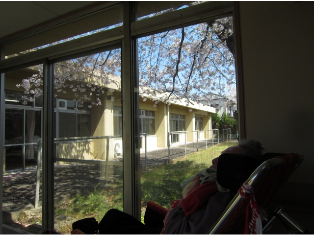 ここからの眺めは
今年が最後…