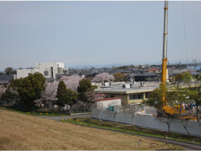 木曽川の堤防から
はなのきを望む