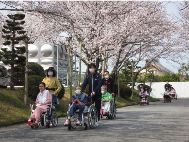 桜のトンネル
ステキです！