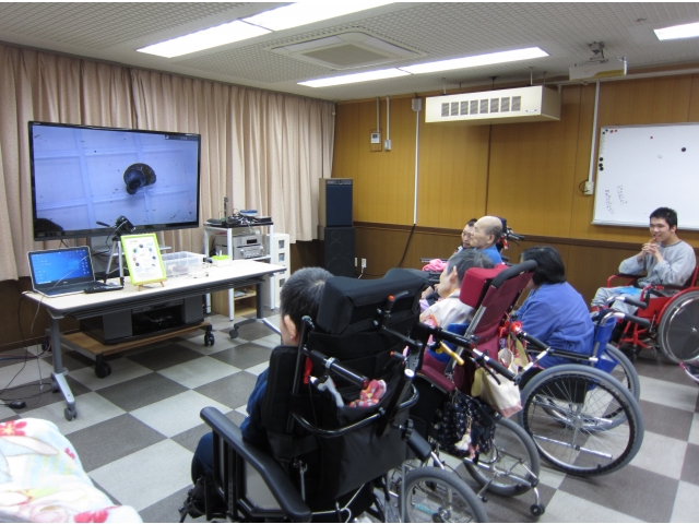 ホタル幼虫
タニシを食らう