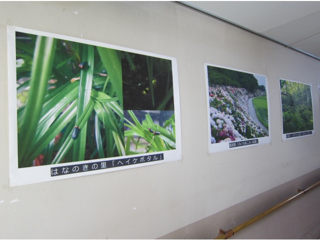 今月のキングオブ絶景！
はなのきのヘイケボタル