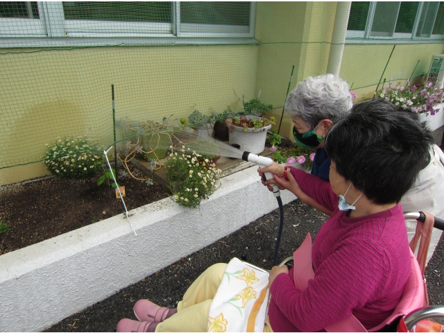 大きく育て～！