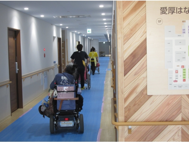 ピカピカ廊下はシートで保護！