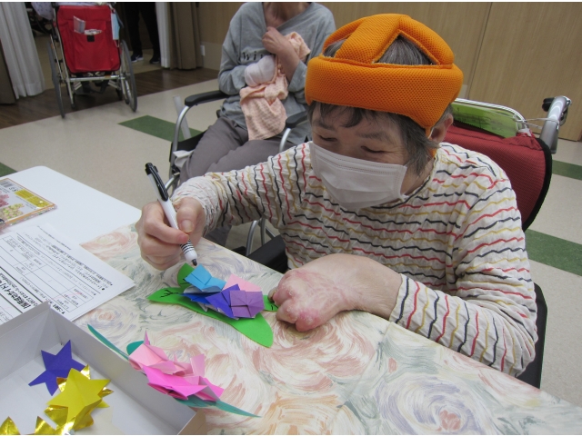 カラフルなアジサイです
