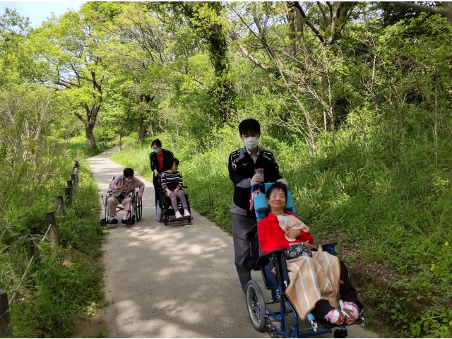 森の中を散策！