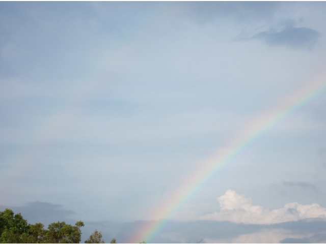 ダブルレインボー(@￣□￣@;)！！副虹は色の順番が逆だ～！！