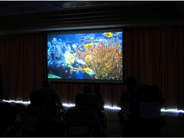 ようこそ！はなのきバーチャルアクアリウムへ！