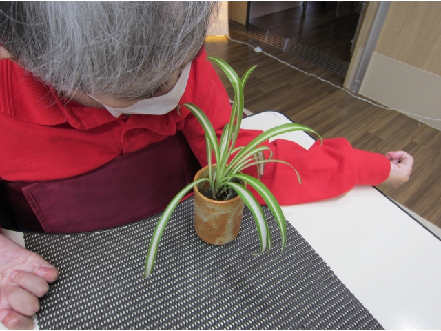 貴重な成虫見て見て～！