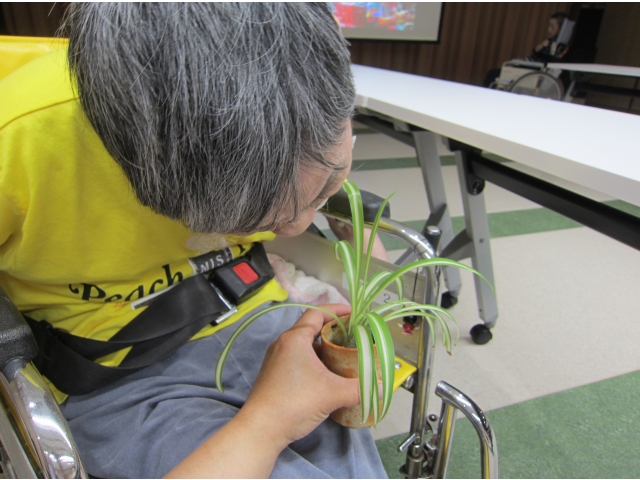 ホタル観賞会は来年まであおずけ…