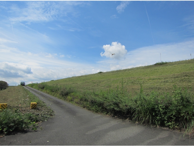 機械の入れないところは草刈り機で刈り取って…