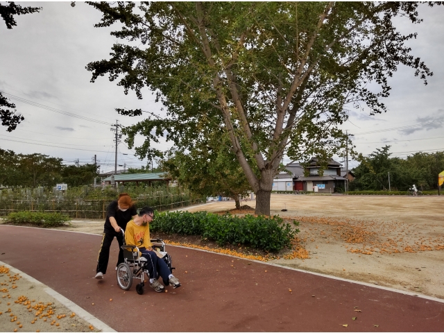 銀杏を踏まないように…