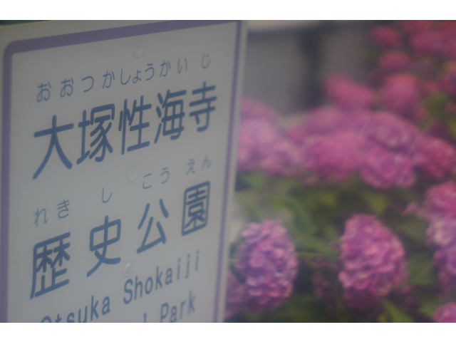 「大塚性海寺歴史公園①」です。