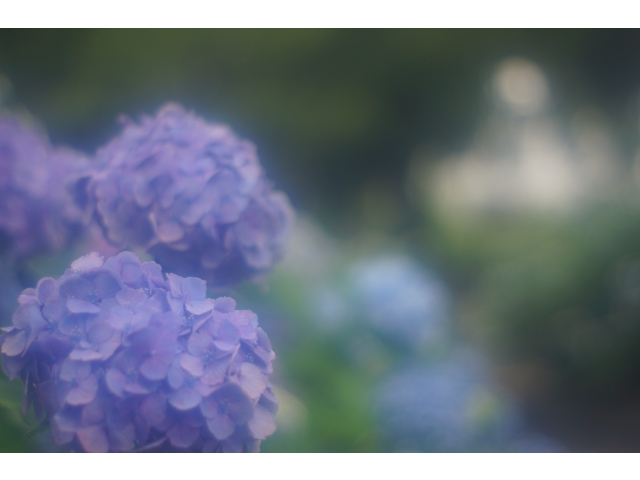 「大塚性海寺歴史公園②」です。