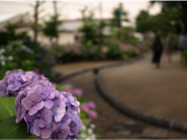 「大塚性海寺歴史公園③」です。