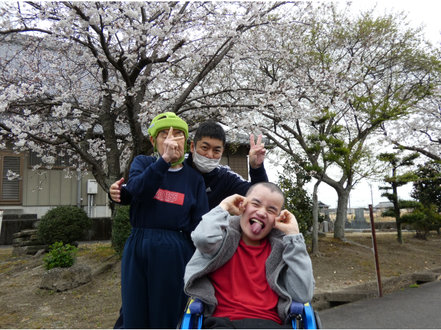 お花見さんぽ🌸