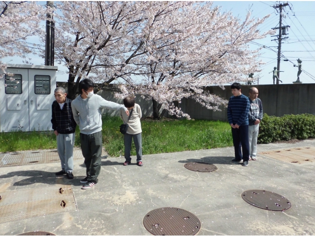 桜満開!「行きましょう」「まだ、見たいよ」