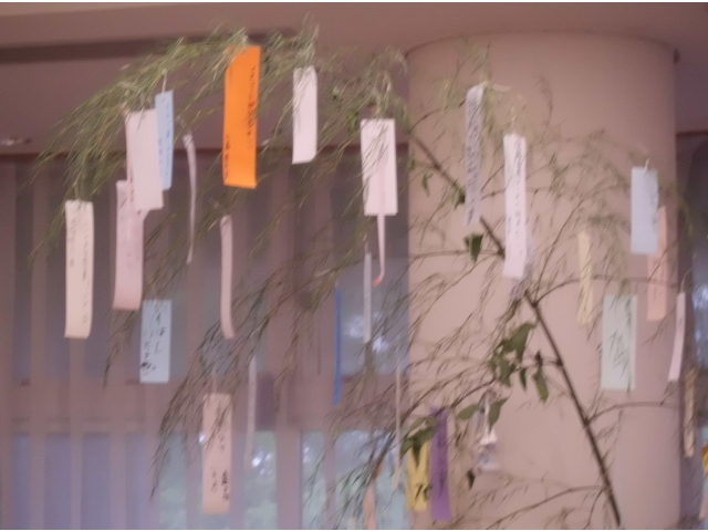 沢山集まりました！　　　　　　　　　　(｀・ω・´)