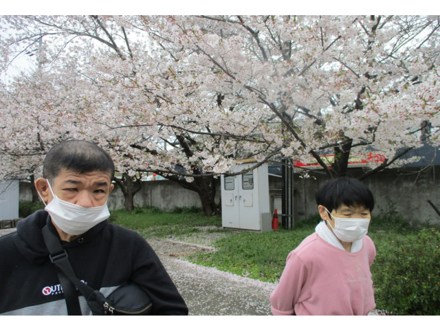 帰所後満開の桜で一枚