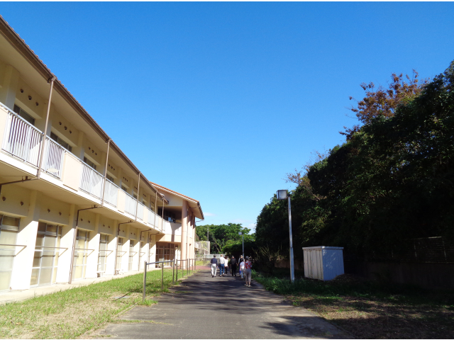爽やかな風が吹いていて良い天気です