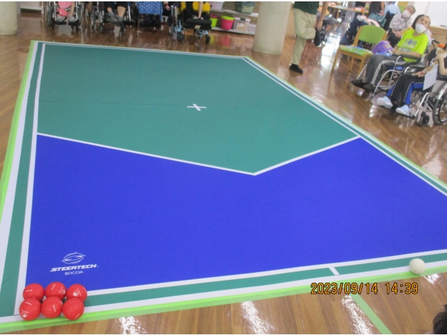 ボッチャ用ハーフコートマットを購入しました！