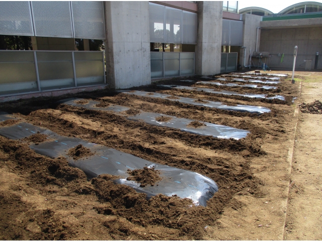 完成しました✨