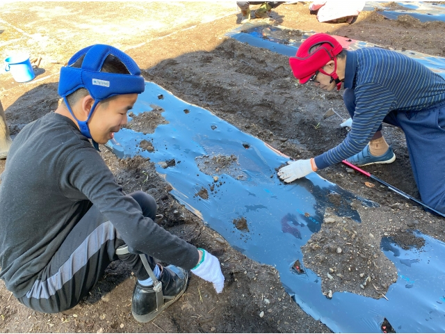 上から土をかぶせて完成です！