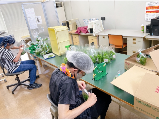 就労事業　　　　　　　　　　　　　　　　　　　　　　　　　　　　　（大葉袋詰め）