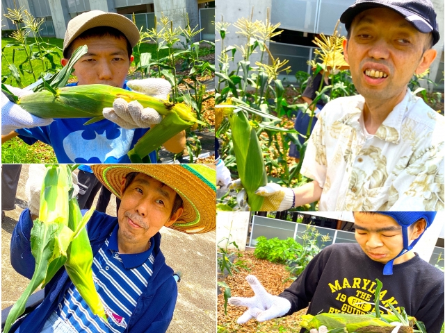 たくさんとれました。