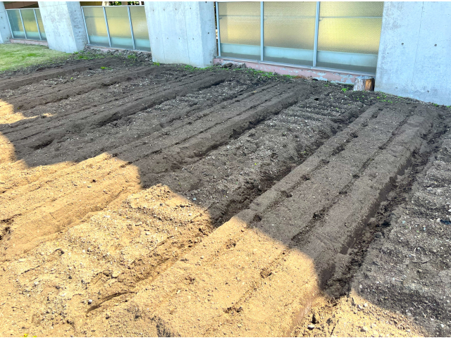 畝を作りました。