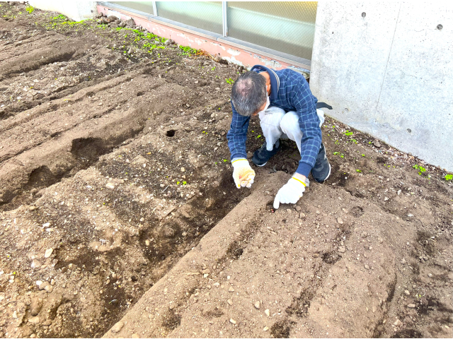 手際が良いですね。