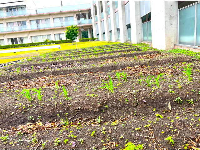 これからの成長が楽しみです