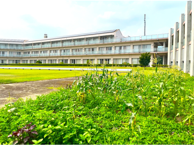 もう少しだったのに……