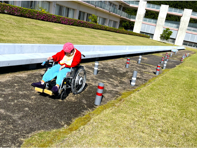 赤色ポールは後進です。