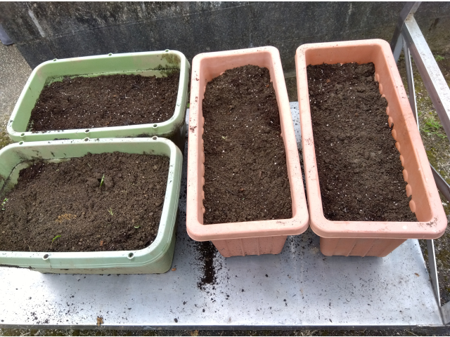 7月23日にミニトマトの苗を植えます。地域の方もたくさん来ていただけるので、ご利用者様と交流できると良いです。
