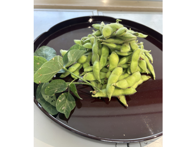 とってもおいしそうです。ご利用者様の食事の一品として出せたらよいですね、管理栄養士と相談しています。