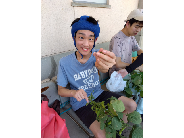 枝豆がとれました、はいポーズ！