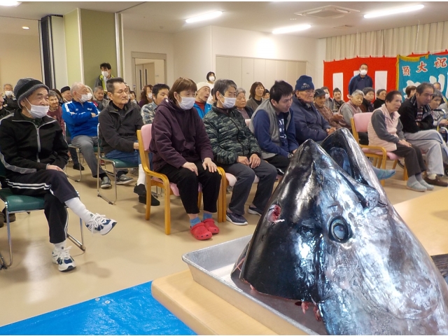 この写真でマグロのお頭の大きさがわかります