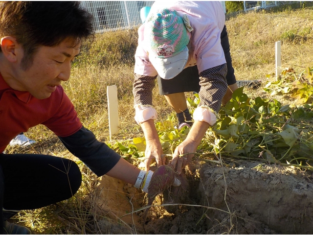 みんなで協力しあって、収穫🎵収穫🎵