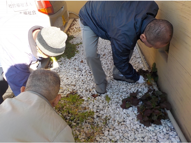 清掃活動開始ー！