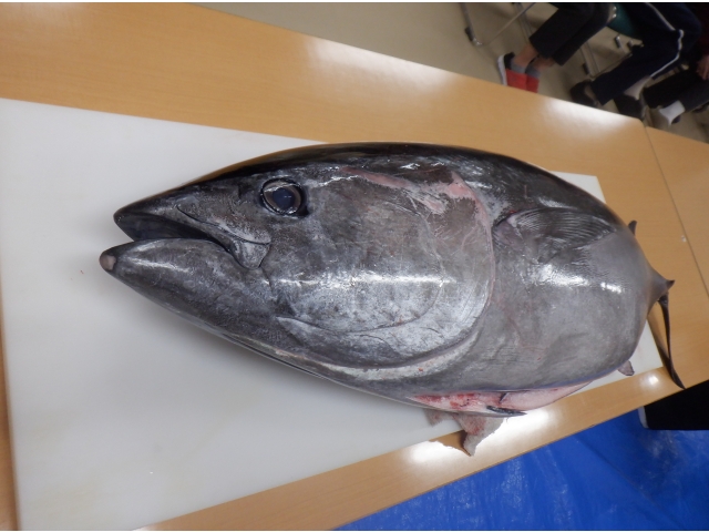 この迫力！！！