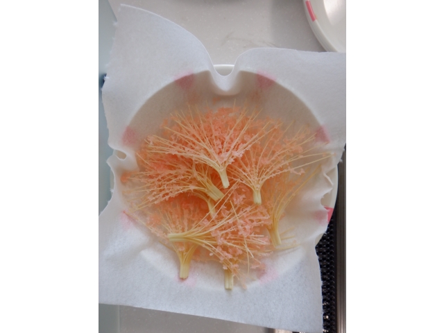 桜をモチーフした飾りです🌸