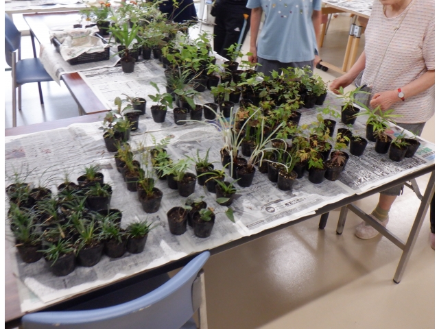 種類豊富です！！