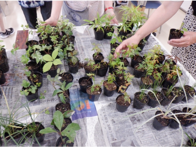 どれにしようかな♬