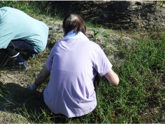 涼しくなりました